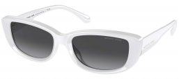 Gafas de Sol - Michael Kors - MK2210U ASHEVILLE - 31008G  OPTIC WHITE // GREY GRADIENT
