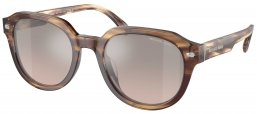 Gafas de Sol - Michael Kors - MK2216U EGER - 39776I  BROWN HORN // BROWN MIRROR BLACK