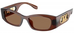 Gafas de Sol - Michael Kors - MK2243U RHODES - 402173  TRANSPARENT BROWN // BROWN