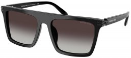 Gafas de Sol - Michael Kors - MK2249U EDGEWATER - 30058G  BLACK // DARK GREY GRADIENT