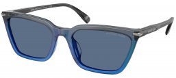 Gafas de Sol - Michael Kors - MK2250U EVERGLADES - 401180  GREY GRADIENT BLUE // BLUE