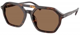 Gafas de Sol - Michael Kors - MK2251U JACKSON HOLE - 300673  DARK TORTOISE // BROWN