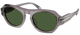 Gafas de Sol - Michael Kors - MK2266U TORONTO - 340071  TRANSPARENT GREY // GREEN