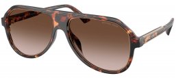 Gafas de Sol - Michael Kors - MK2281U MOLOKAI - 300613  DARK TORTOISE // BROWN GRADIENT