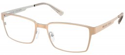 Monturas - Michael Kors - MK3107 ARUSHA - 1014  MATTE GOLD