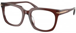 Monturas - Michael Kors - MK4176U ONTARIO - 3401 TRANSPARENT BROWN