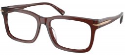 Monturas - Michael Kors - MK4177U OTTAWA - 3401 TRANSPARENT BROWN