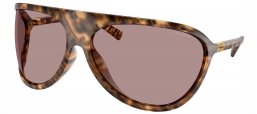 Gafas de Sol - Miu Miu - SMU A01S - 11Z06I  HAVANA // BROWN LIGHT PURPLE