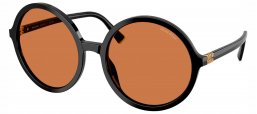 Gafas de Sol - Miu Miu - SMU B02S - 16K90Q  BLACK // BROWN