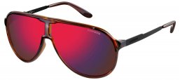 Gafas de Sol - Carrera - NEW CHAMPION - LAO (BJ) HAVANA BLACK // DARK BROWN INFRARED