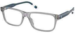 Monturas - POLO Ralph Lauren - PH2302U - 6317  SHINY TRANSPARENT GREY