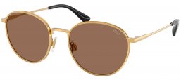 Gafas de Sol - POLO Ralph Lauren - PH3163 - 940273  BRASS // DARK BROWN