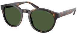 Gafas de Sol - POLO Ralph Lauren - PH4192 - 500371  DARK HAVANA // BOTTLE GREEN