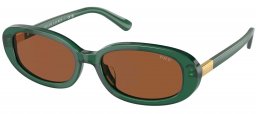 Gafas de Sol - POLO Ralph Lauren - PH4198U - 619573  SHINY TRANSPARENT GREEN // BROWN