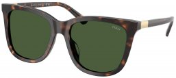Gafas de Sol - POLO Ralph Lauren - PH4201U - 500371  SHINY DARK HAVANA // GREEN BOTTLE