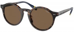 Gafas de Sol - POLO Ralph Lauren - PH4204U - 500373  SHINY DARK HAVANA // BROWN