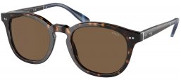 Gafas de Sol - POLO Ralph Lauren - PH4206 - 500373  SHINY DARK HAVANA // BROWN