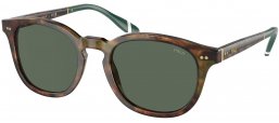Gafas de Sol - POLO Ralph Lauren - PH4206 - 501771  HAVANA AND BRIGHT JERRY // GREEN BOTTLE