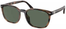 Gafas de Sol - POLO Ralph Lauren - PH4208U - 597471  SHINY HAVANA // GREEN BOTTLE