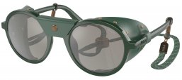 Gafas de Sol - POLO Ralph Lauren - PH4216QU - 5596Z6  SHINY GREEN // LIGHT GREY MIRROR SILVER