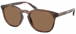 Gafas de Sol - POLO Ralph Lauren - PH4222U - 597473  SHINY DARK HAVANA // DARK BROWN