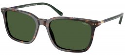 Gafas de Sol - POLO Ralph Lauren - PH4226 - 567371  DARK HAVANA // GREEN BOTTLE