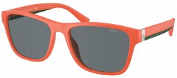 Gafas de Sol - POLO Ralph Lauren - PH4229U - 54606G  MATTE ORANGE // GREY MIRROR