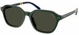 Gafas de Sol - POLO Ralph Lauren - PH4234U - 614082  GREEN // BROWN