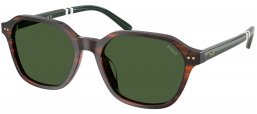 Gafas de Sol - POLO Ralph Lauren - PH4234U - 631571  STRIPED BROWN // BOTTLE GREEN