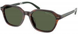 Gafas de Sol - POLO Ralph Lauren - PH4234U - 63159A  STRIPED BROWN // GREEN POLARIZED