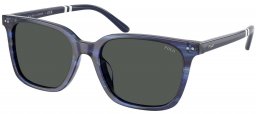 Gafas de Sol - POLO Ralph Lauren - PH4235U - 631487  STRIPED BLUE // DARK GREY