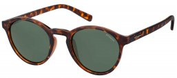 Gafas de Sol - Polaroid - PLD 1013/S - V08 (H8) HAVANA // GREEN POLARIZED