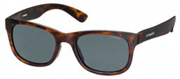 Gafas de Sol - Polaroid - PLD 3005/S - PHT (C3) HAVANA // GREY POLARIZED