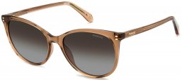 Gafas de Sol - Polaroid - PLD 4200/S/X - HAM (LA) CHAMPAGNE // BROWN GRADIENT POLARIZED