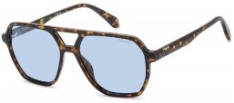 Gafas de Sol - Polaroid - PLD 4218/S - 086 (C3) DARK HAVANA // GREY POLARIZED