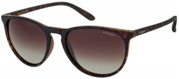 Gafas de Sol - Polaroid - PLD 6003/N/S - V08 (LA) HAVANA // BROWN  GRADIENT POLARIZED