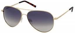 Gafas de Sol - Polaroid - PLD 6012/N - 06J  (WJ) GOLD // GREY GRADIENT POLARIZED