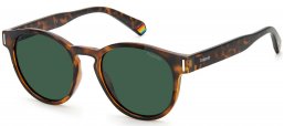 Gafas de Sol - Polaroid - PLD 6175/S - 086 (UC) DARK HAVANA // GREEN POLARIZED