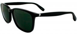 Gafas de Sol - Polaroid - PLP 0104 - 807 (OP) HAVANA // GREEN POLARIZED