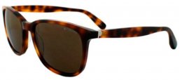 Gafas de Sol - Polaroid - PLP 0104 - 91E (2P) BLACK // BROWN POLARIZED