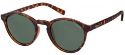 Sunglasses - Polaroid - PLD 1013/S - V08 (H8) HAVANA // GREEN POLARIZED