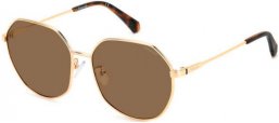 Sunglasses - Polaroid - PLD 4140/G/S/X - DDB (SP) GOLD COPPER // BRONZE POLARIZED