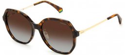 Gafas de Sol - Polaroid - PLD 6177/G/S - 086 (LA) DARK HAVANA // BROWN GRADIENT POLARIZED