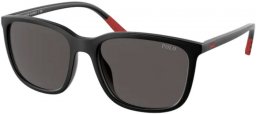 Sunglasses - POLO Ralph Lauren - PH4185U - 537587 MATTE BLACK // DARK GREY