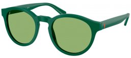 Gafas de Sol - POLO Ralph Lauren - PH4192 - 6141/2 SHINY DARK GREEN // LIGHT GREEN