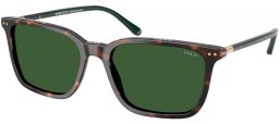Lunettes de soleil - POLO Ralph Lauren - PH4226 - 567371  DARK HAVANA // GREEN BOTTLE