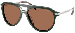 Sunglasses - Ralph Lauren - RL8228U - 614073  FOREST GREEN // BROWN