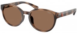 Gafas Junior - POLO Ralph Lauren Junior - PP9509U - 597473  SHINY DARK HAVANA // DARK BROWN