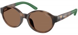 Gafas Junior - POLO Ralph Lauren Junior - PP9510U - 500373  SHINY DARK HAVANA // BROWN