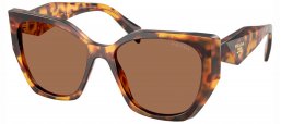 Gafas de Sol - Prada - SPR 19ZS - 14L06B  TURTLE HONEY // DARK BROWN